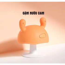 Cam